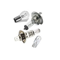 Category image for Bulbs