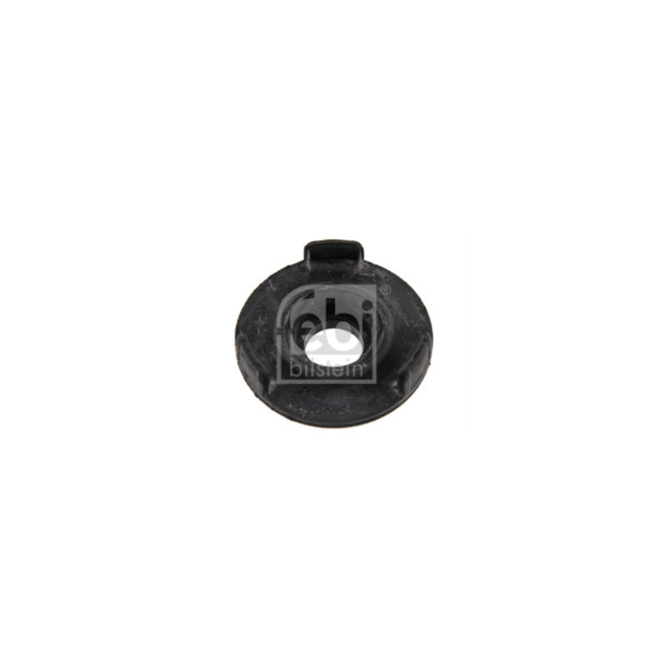 Diff Mount/Bearing/Bush image