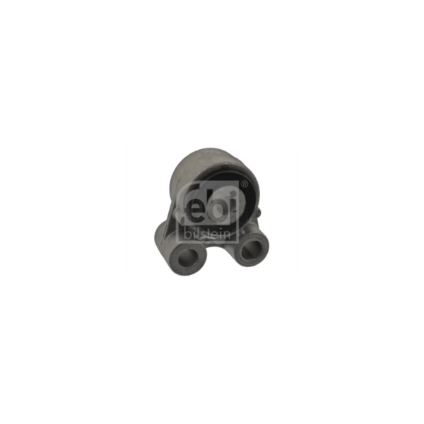 Engine/Transmission Bush/Mount image