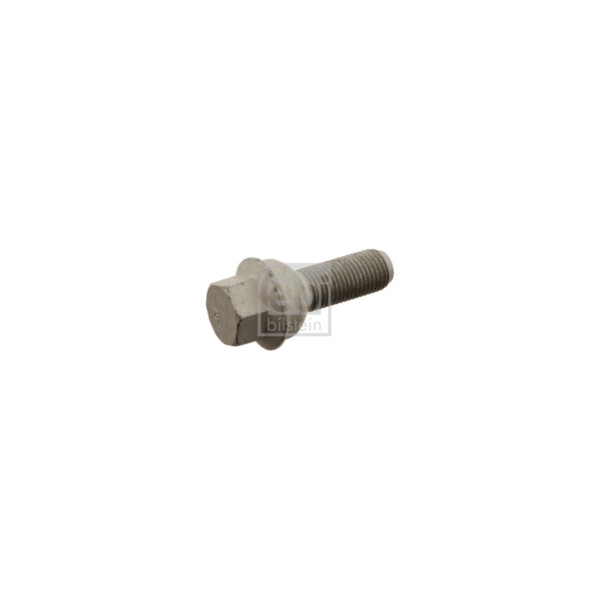Wheel Bolt/Nut image