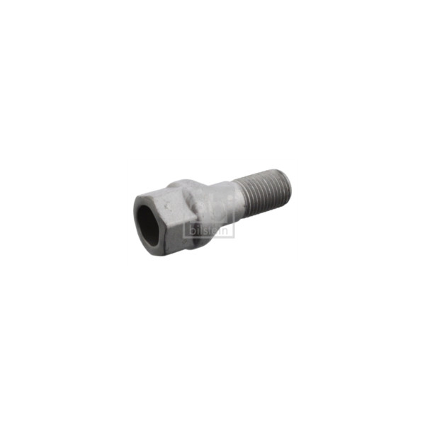 Wheel Bolt/Nut image