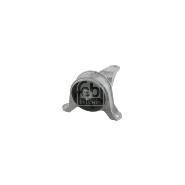 Engine/Transmission Bush/Mount image