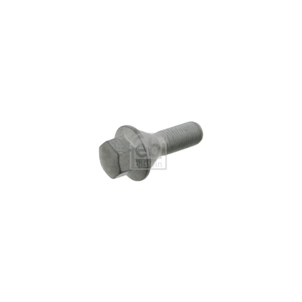 Wheel Bolt/Nut image