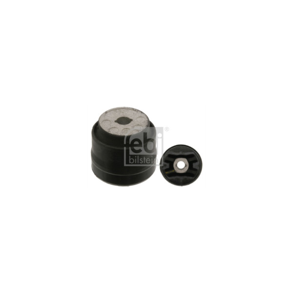 Diff Mount/Bearing/Bush image