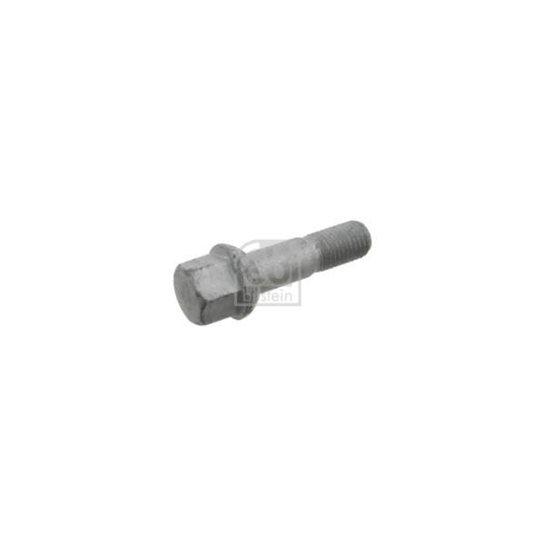Wheel Bolt/Nut image