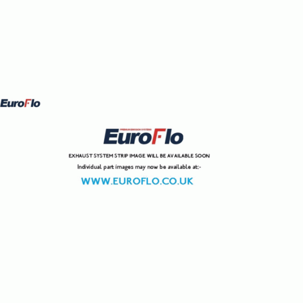 Exhaust System image