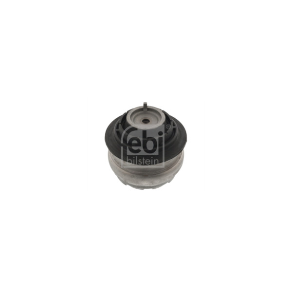Engine/Transmission Bush/Mount image