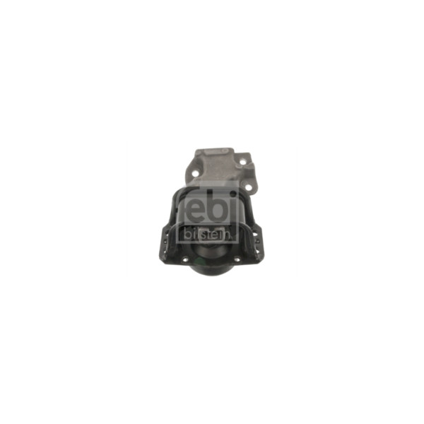 Engine/Transmission Bush/Mount image
